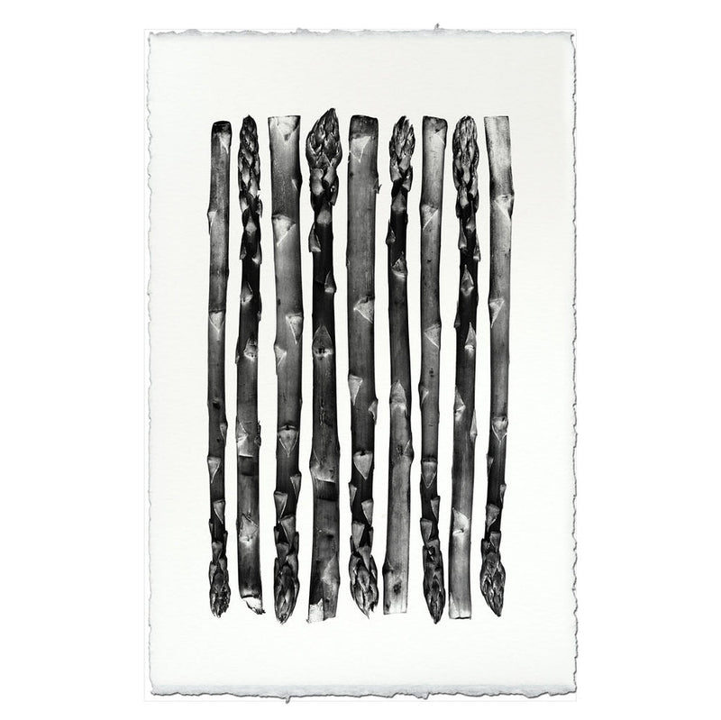 Barloga Studios | Asparagus on Nepalese Hand-Made Paper, 9x14 inches