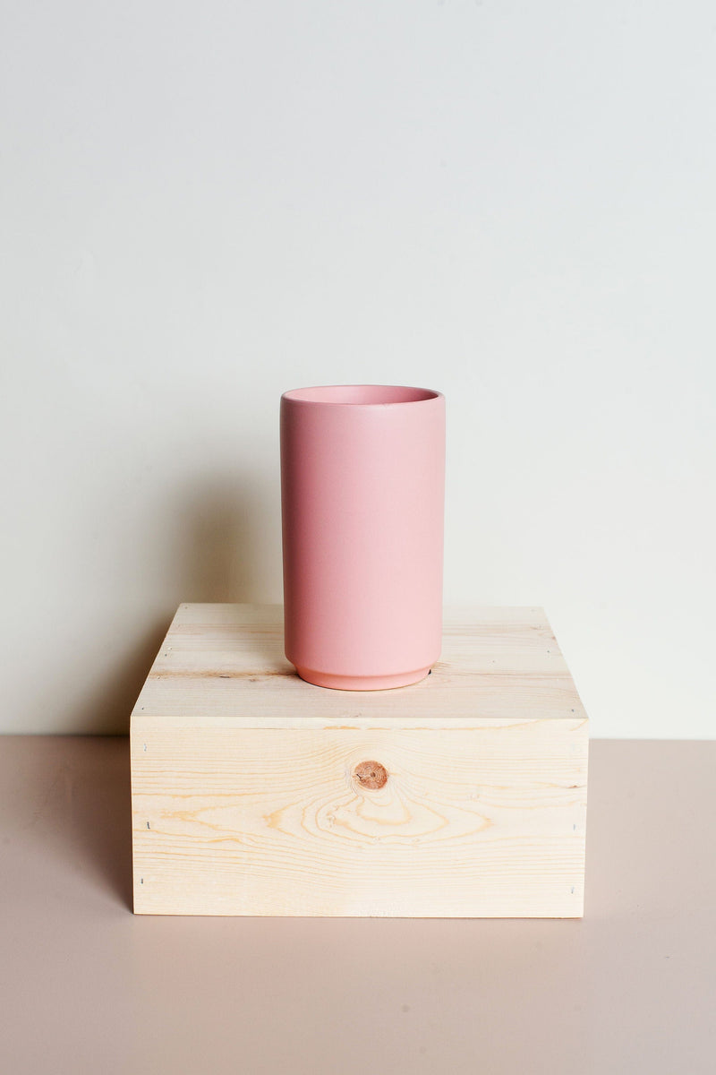Idlewild Floral Co. | Preserved Two Tone Lavender Blush Bunny Tail