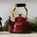 Le Creuset | Classic Whistling Kettles.