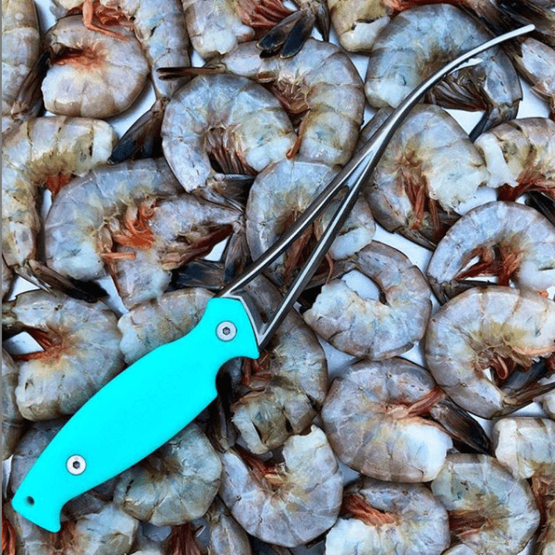 Toadfish | Shrimp Cleaner