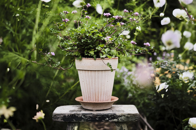 Bergs Potter | Elizabeth Rosa