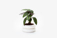 Areaware | Stacking Planters.