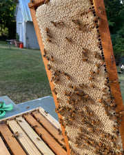 Lucky Bee Farms Honeycomb Jar featuring bees on a honeycomb, highlighting raw, unfiltered honey from Athens, GA, ideal for enhancing culinary creations.