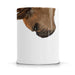 French Bulldog Snout Mug: 11 oz.