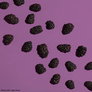 Georgia Jams | Wild Blackberry.