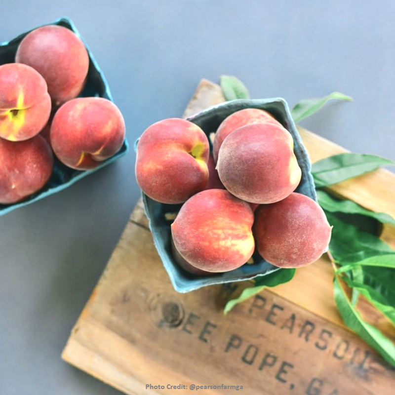 Georgia Jams | Peach State.