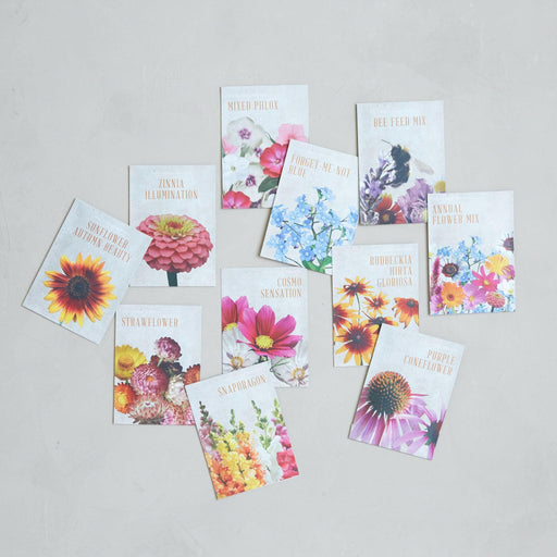 The Floral Society | Individual Seeds - Forget-Me-Not Blue packet, offering non-GMO seeds for vibrant, textured blooms ideal for floral arrangements.