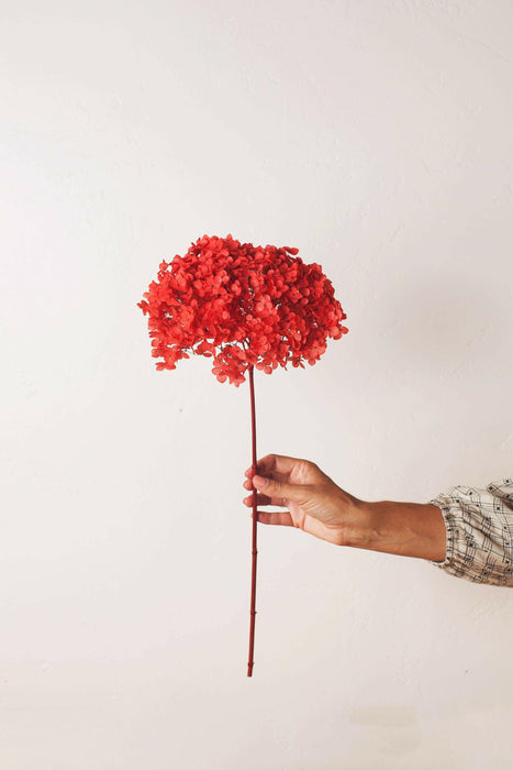 Idlewild Floral Co | Cherry Red Hydrangea Puff.