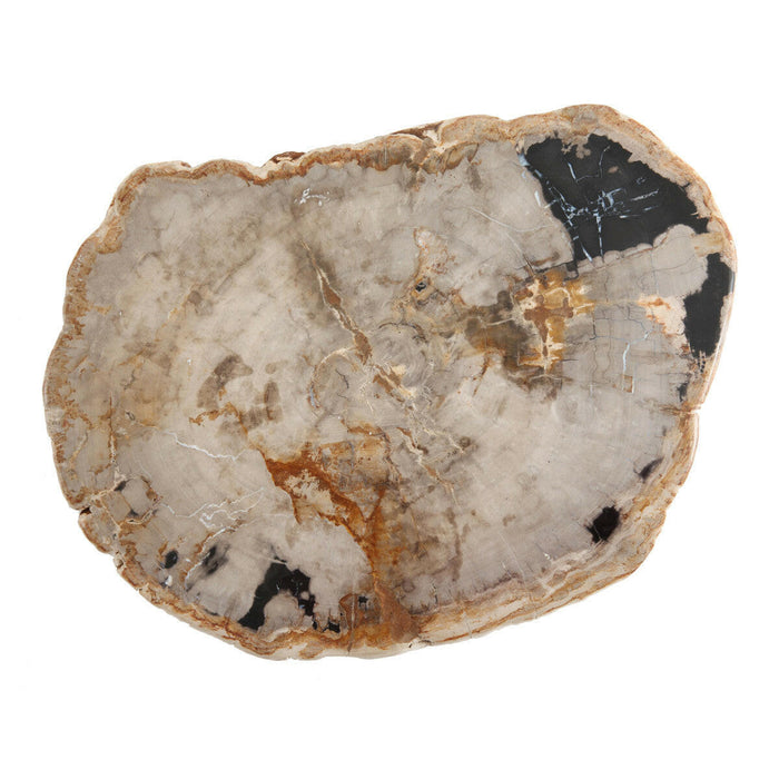 Serveware | Petrified Wood Platters.