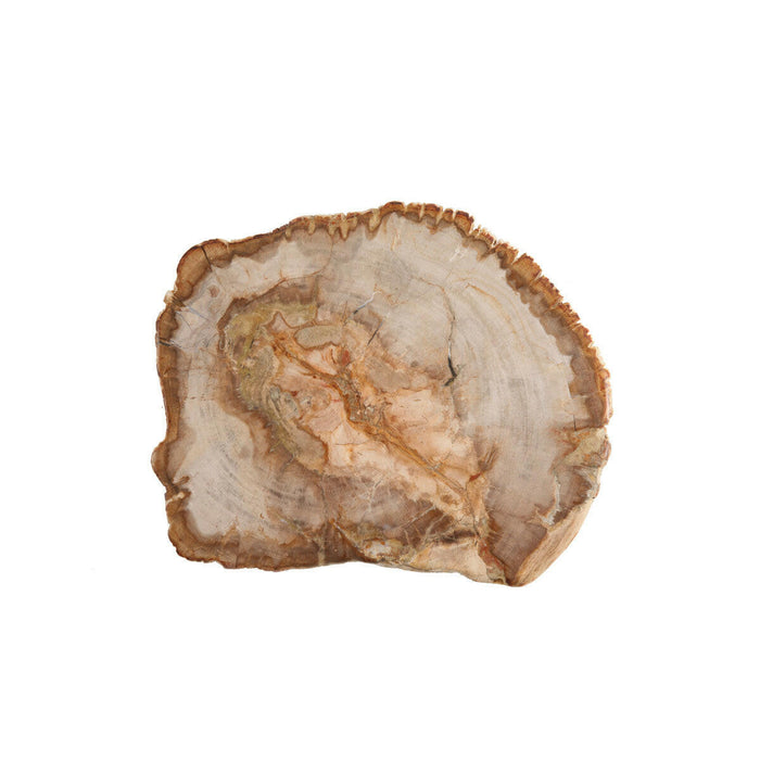 Serveware | Petrified Wood Platters.