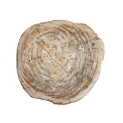 Serveware | Petrified Wood Platters.